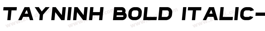 Tayninh Bold Italic字体转换